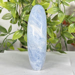 Celestite Gemstone Freeform - RPS573