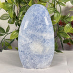 Celestite Gemstone Freeform - RPS573