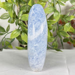 Celestite Gemstone Freeform - RPS573
