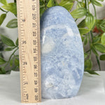 Celestite Gemstone Freeform - RPS573