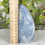 Celestite Gemstone Freeform - RPS574