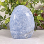 Celestite Gemstone Freeform - RPS575