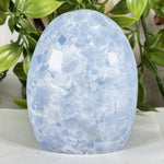 Celestite Gemstone Freeform - RPS576