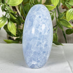 Celestite Gemstone Freeform - RPS576