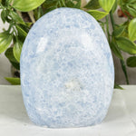 Celestite Gemstone Freeform - RPS576