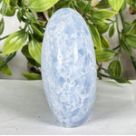Celestite Gemstone Freeform - RPS576