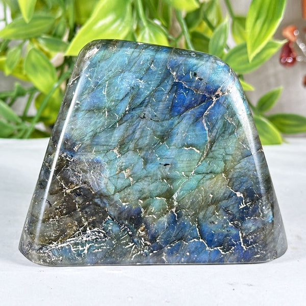 Labradorite Crystal Freeform - Gem Avenue Retail