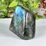Labradorite Gemstone Freeform - RPS579