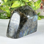 Labradorite Gemstone Freeform - RPS579