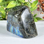 Labradorite Gemstone Freeform - RPS579