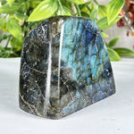 Labradorite Gemstone Freeform - RPS579