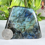 Labradorite Gemstone Freeform - RPS579