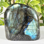 Labradorite Gemstone Freeform - RPS580