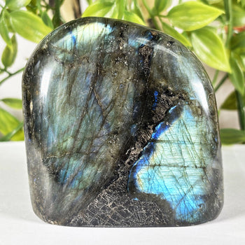 Labradorite Gemstone Freeform - RPS580