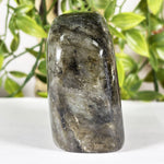Labradorite Gemstone Freeform - RPS580