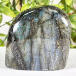 Labradorite Gemstone Freeform - RPS580