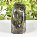 Labradorite Gemstone Freeform - RPS580