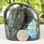 Labradorite Gemstone Freeform - RPS580