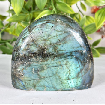 Labradorite Crystal Freeform - Gem Avenue Retail