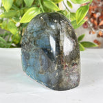 Labradorite Gemstone Freeform - RPS582