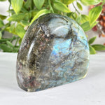 Labradorite Gemstone Freeform - RPS582
