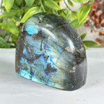 Labradorite Gemstone Freeform - RPS582