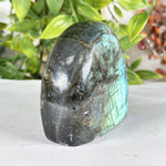 Labradorite Gemstone Freeform - RPS582