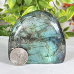 Labradorite Gemstone Freeform - RPS582