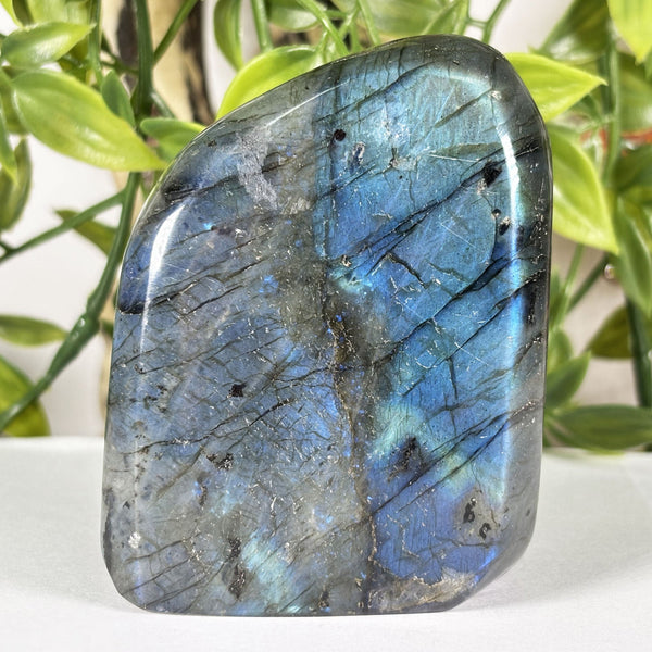 Labradorite Gemstone Freeform - RPS583