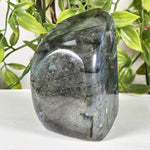 Labradorite Gemstone Freeform - RPS583