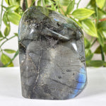 Labradorite Gemstone Freeform - RPS583