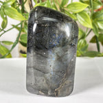Labradorite Gemstone Freeform - RPS583