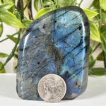 Labradorite Gemstone Freeform - RPS583