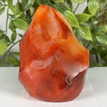 Carnelian Gemstone Freeform - RPS595