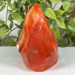 Carnelian Gemstone Freeform - RPS595