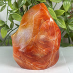 Carnelian Gemstone Freeform - RPS595