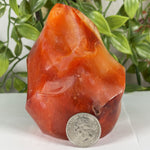 Carnelian Gemstone Freeform - RPS595
