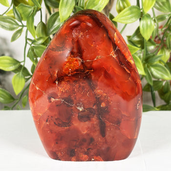 Carnelian Gemstone Freeform - RPS596