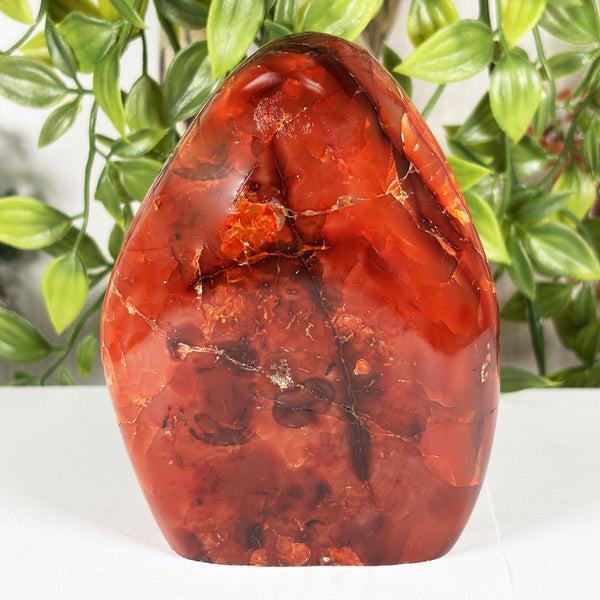 Carnelian Gemstone Freeform - RPS596