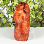 Carnelian Gemstone Freeform - RPS596