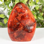 Carnelian Gemstone Freeform - RPS596