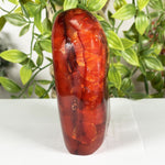 Carnelian Gemstone Freeform - RPS596