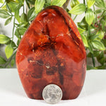 Carnelian Gemstone Freeform - RPS596