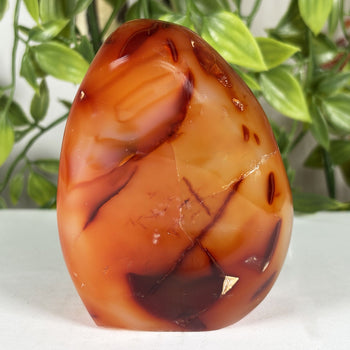 Carnelian Gemstone Freeform - RPS597