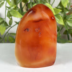 Carnelian Gemstone Freeform - RPS597