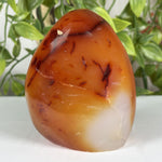 Carnelian Gemstone Freeform - RPS597
