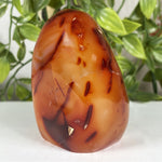 Carnelian Gemstone Freeform - RPS597