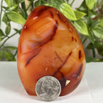 Carnelian Gemstone Freeform - RPS597