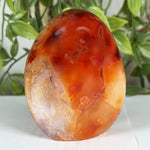Carnelian Gemstone Freeform - RPS598