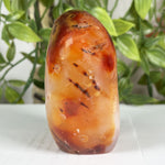 Carnelian Gemstone Freeform - RPS598
